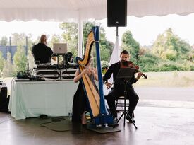 Kara Welch Harpist - Harpist - Baltimore, MD - Hero Gallery 4