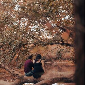 Gallery Photo 37