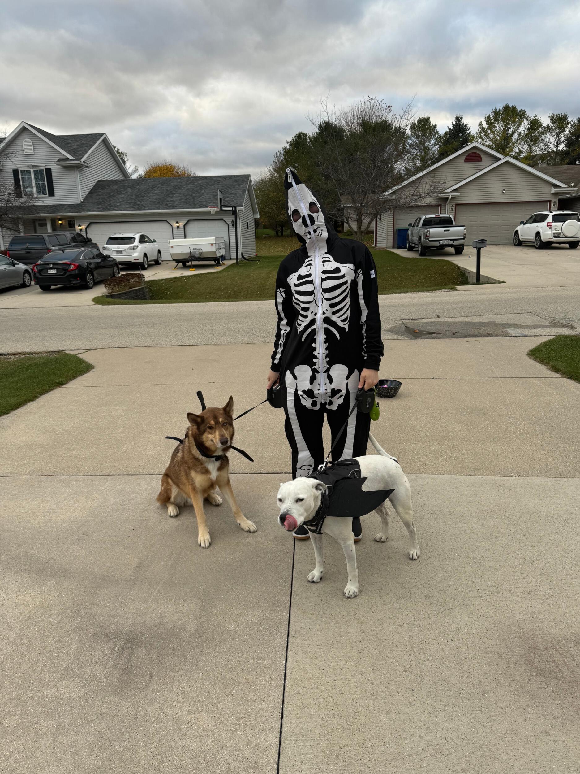 First Halloween at N6209