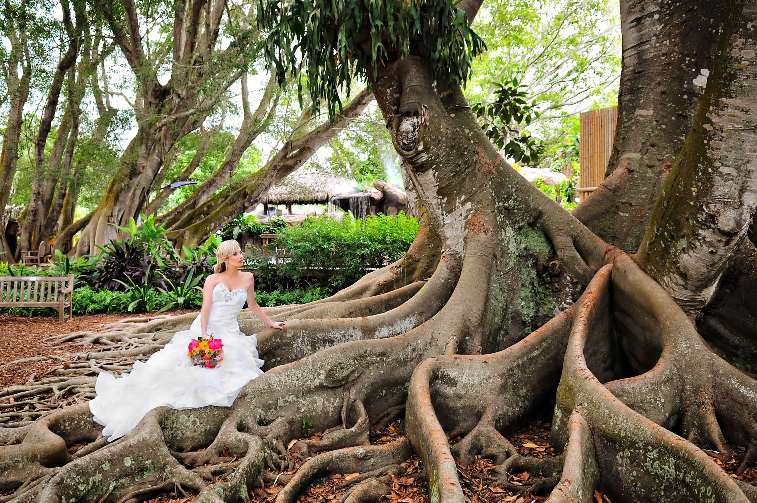 Visit Sarasota County - Weddings | Reception Venues ...