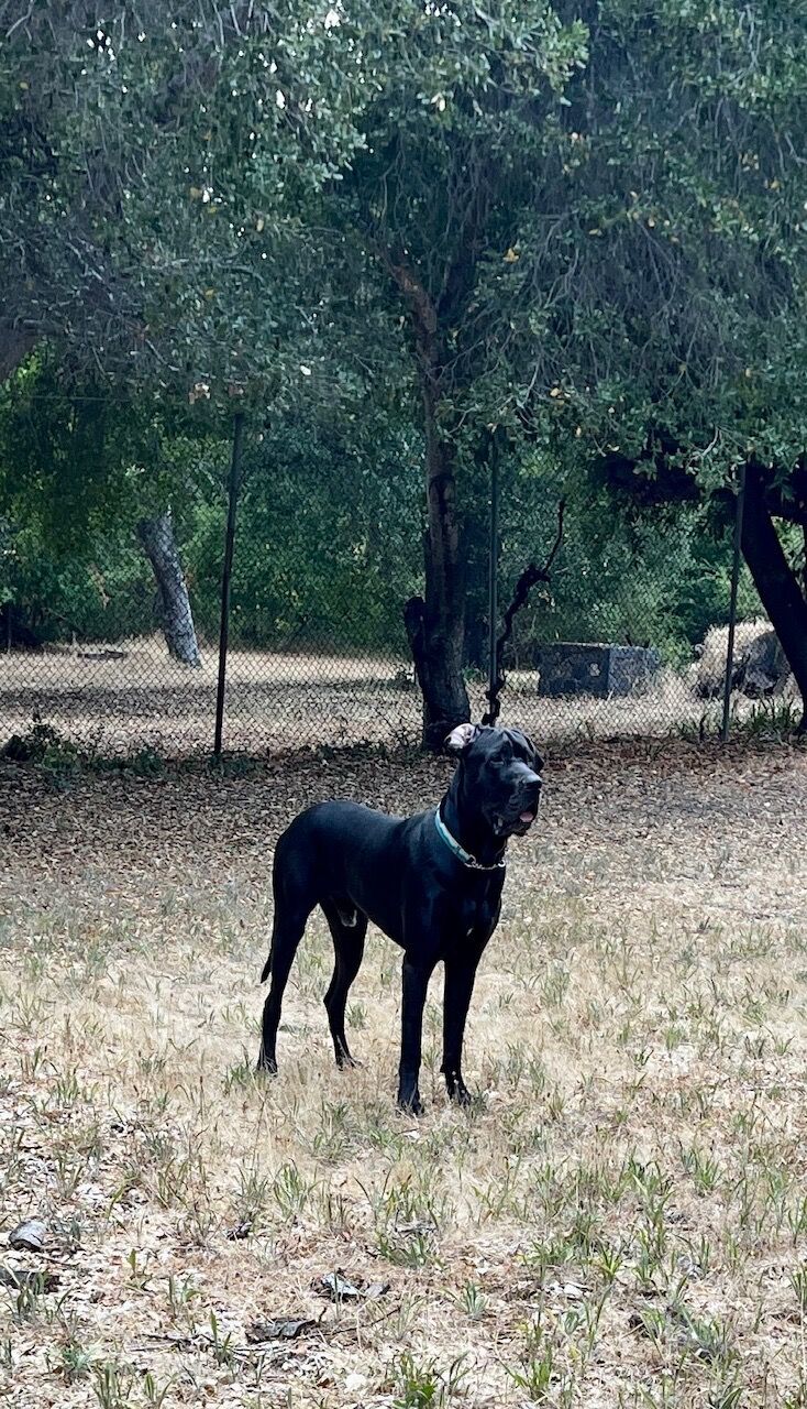 Listening carefully for trespassers