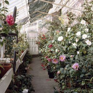 Gallery Photo 6