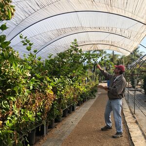 Gallery Photo 11