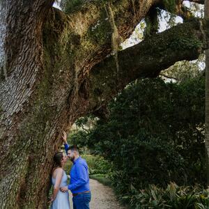 Gallery Photo 3