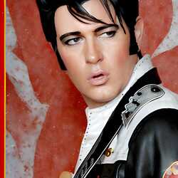 Steve*ELVIS*Gold     50’s/60’s/70’s Tribute, profile image