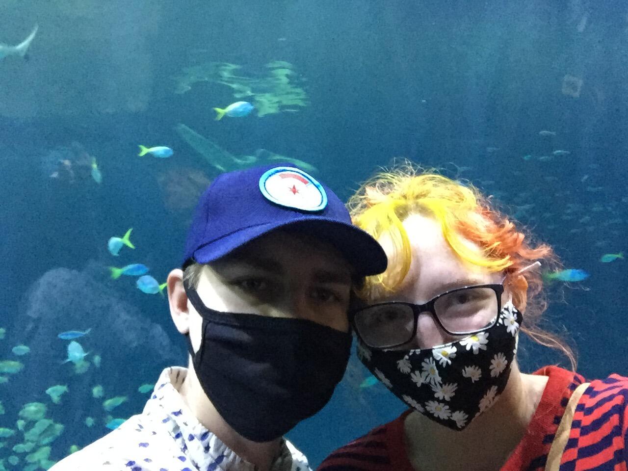 Shedd Aquarium