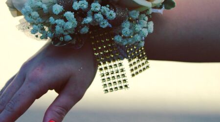 Corsage Bracelets in Land O Lakes, FL