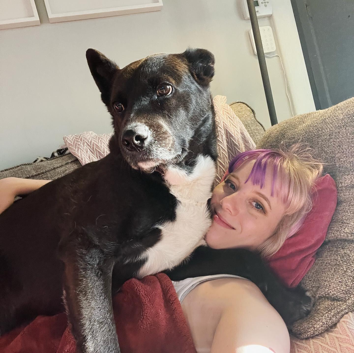 K is still not a dog person, but is now a Chewy person.