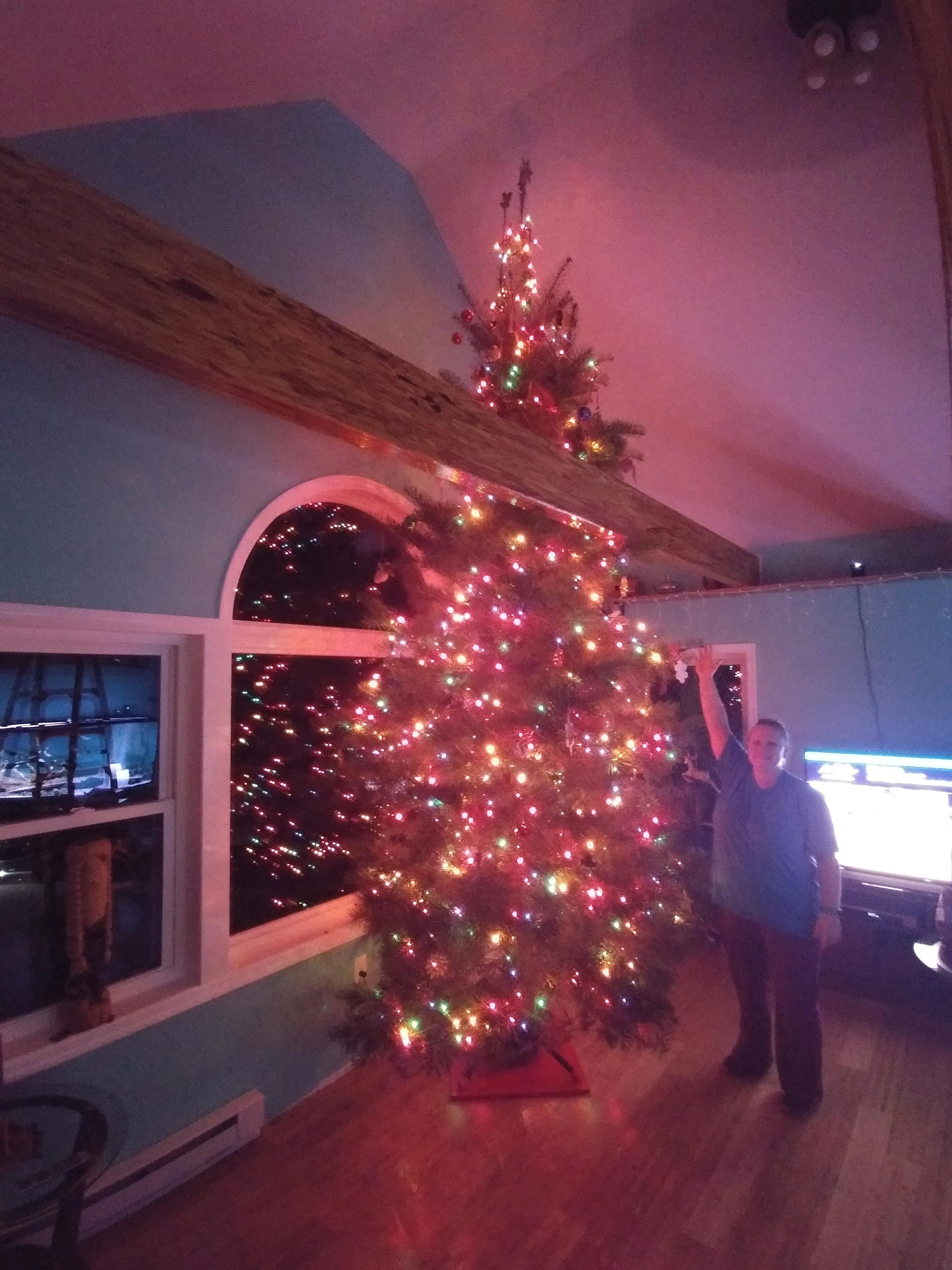 Our first Christmas in our addition! 🎄  GO BIG OR GO HOME as Keith says! That tree is about 15 feet tall! 🤩