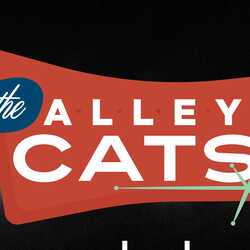 The Alley Cats, profile image