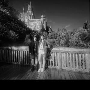 Gallery Photo 6