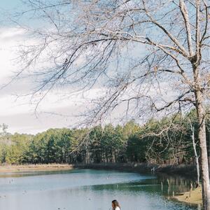 Gallery Photo 8