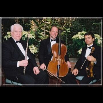 All Seasons Ensemble - String Quartet - Albany, NY - Hero Main