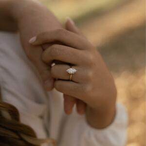 Gallery Photo 11