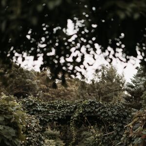 Gallery Photo 16