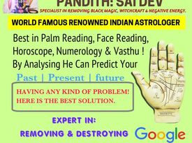 Saidev Best Indian astrologer and psychic reader - Astrologer - Houston, TX - Hero Gallery 2