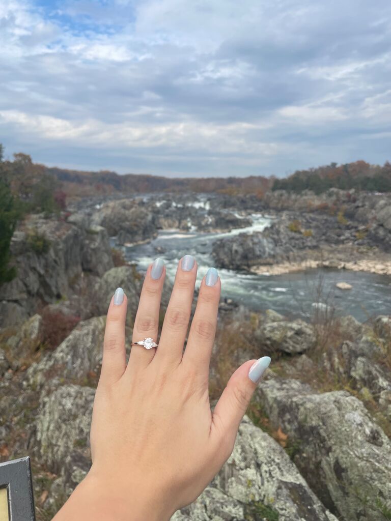 The Proposal