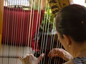 Kela Walton - Harpist - Arlington, TX - Hero Gallery 3