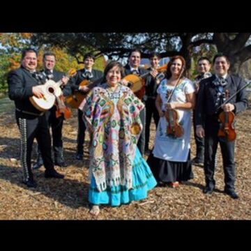 Mariachi Los Gallitos - Mariachi Band - Houston, TX - Hero Main