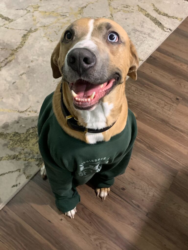 Duke is always supporting is roots at UAB