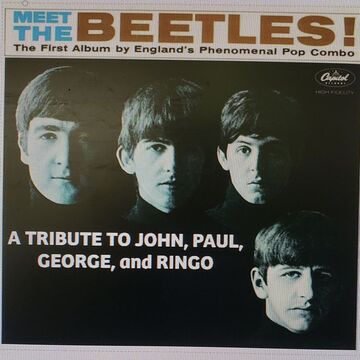 Meet The Beetles - Beatles Tribute Band - Chicago, IL - Hero Main