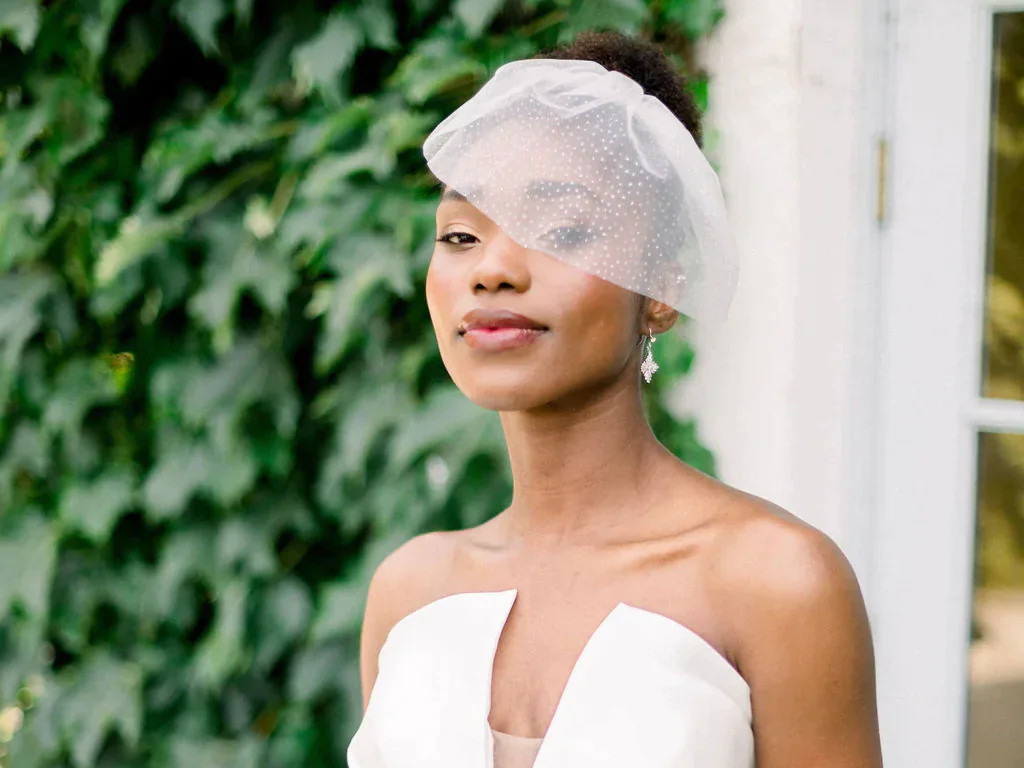 birdcage veil with sparkles