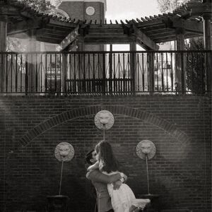 Gallery Photo 27