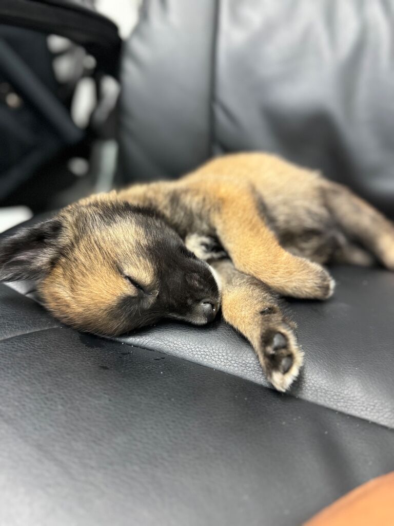 Our firstborn, Shiloh <3