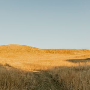 Gallery Photo 100