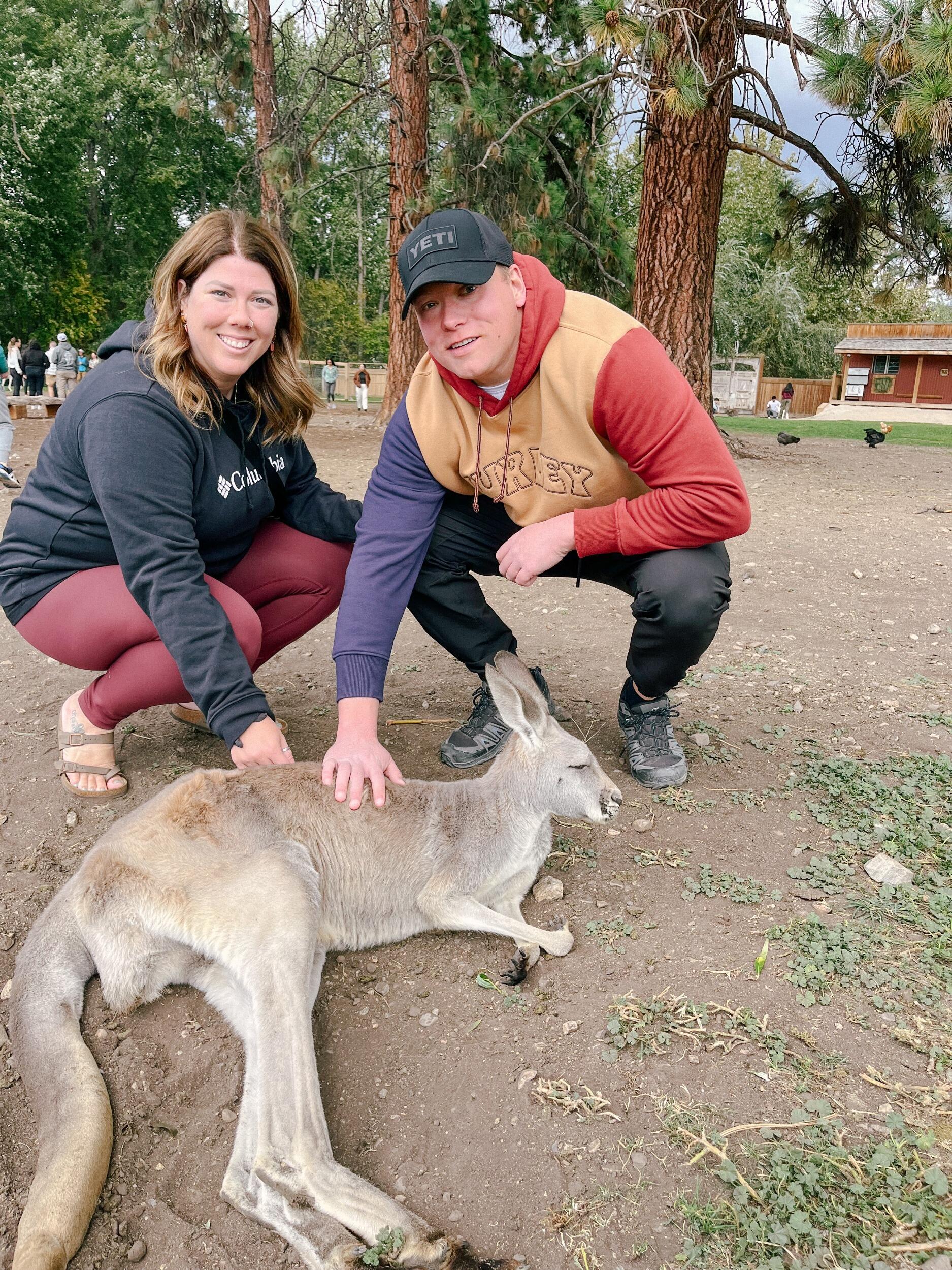 Kangaroos in Kelowna!