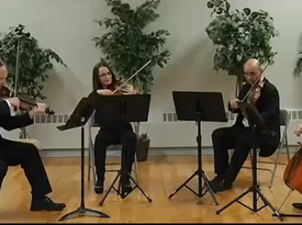 Con Fuoco Music Classical quartet, electric violin - String Quartet - Boston, MA - Hero Gallery 2
