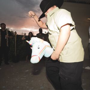 Gallery Photo 39
