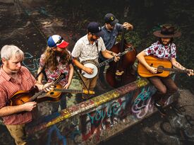 The Well Drinkers - Bluegrass Band - Asheville, NC - Hero Gallery 2