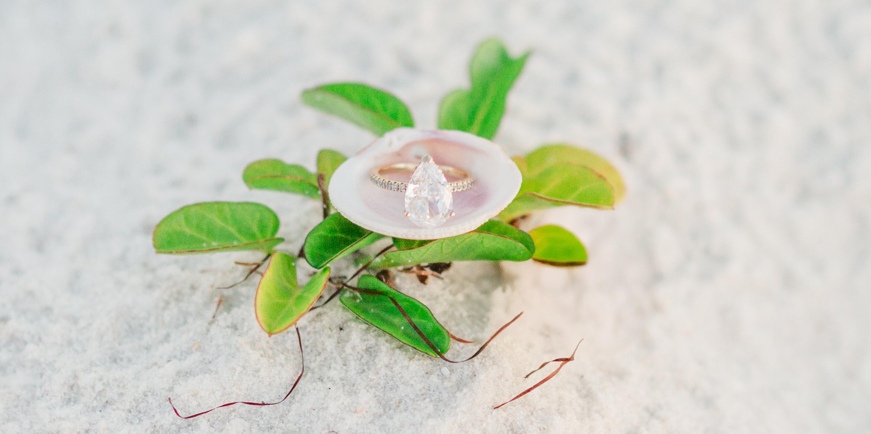 Brittany Misher and Lewis Morant's Wedding Website - The Knot