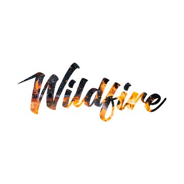 Wildfire - ABE Agency - Cover Band - Saint Louis, MO - Hero Main