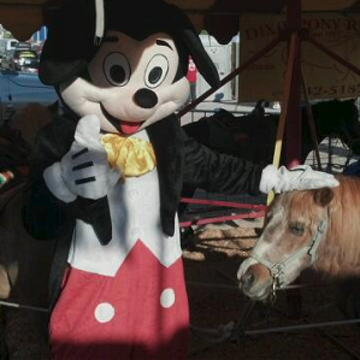 Dixie Pony Rides - Animal For A Party - Las Vegas, NV - Hero Main