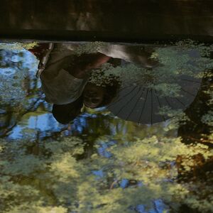 Gallery Photo 15