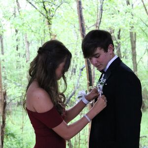 Gallery Photo 21