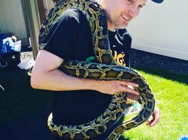 Bugs n Snakes - Reptile Show - Spokane, WA - Hero Gallery 1