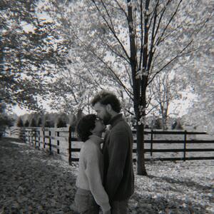 Gallery Photo 7