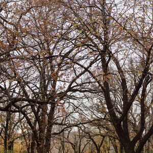 Gallery Photo 29