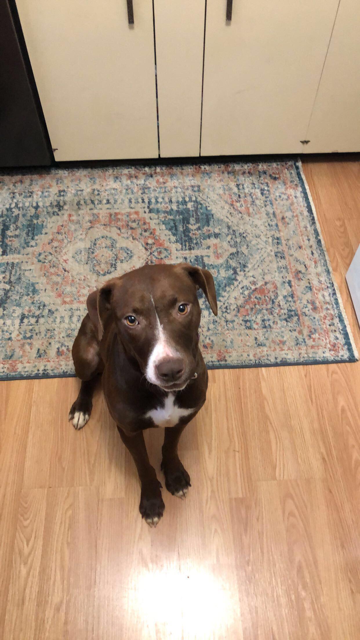 Adopted City on our 5 year anniversary