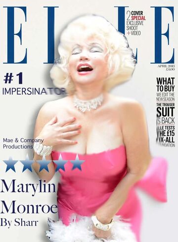 Marilyn Monroe, Joan Rivers, Hillary,Cher& Madonna - Marilyn Monroe Impersonator - New York City, NY - Hero Main
