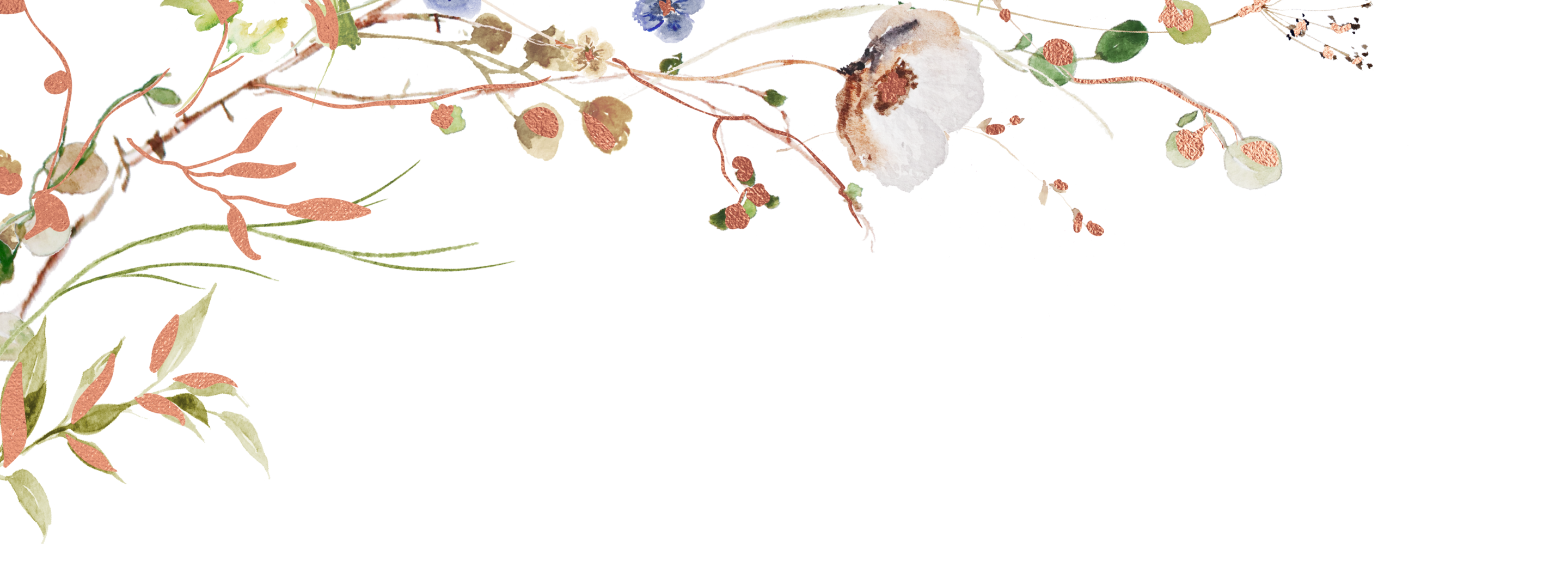 Top Theme Image