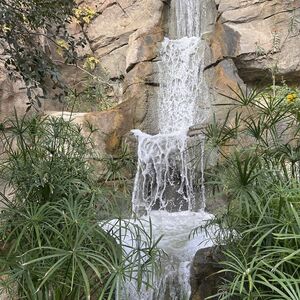 Gallery Photo 19