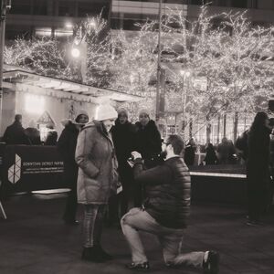 Gallery Photo 10