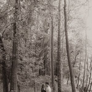Gallery Photo 31