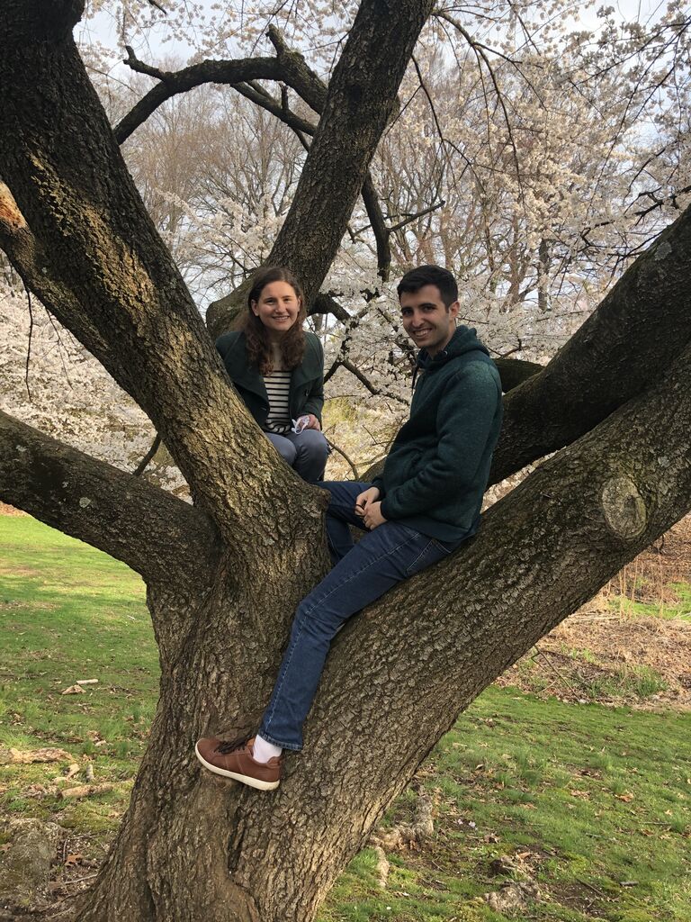 Cherry blossom festival in Newark