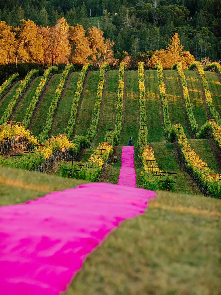 Hot Pink Wedding Ceremony Aisle in California Vineyard