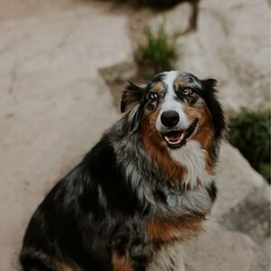Gallery Photo 29
